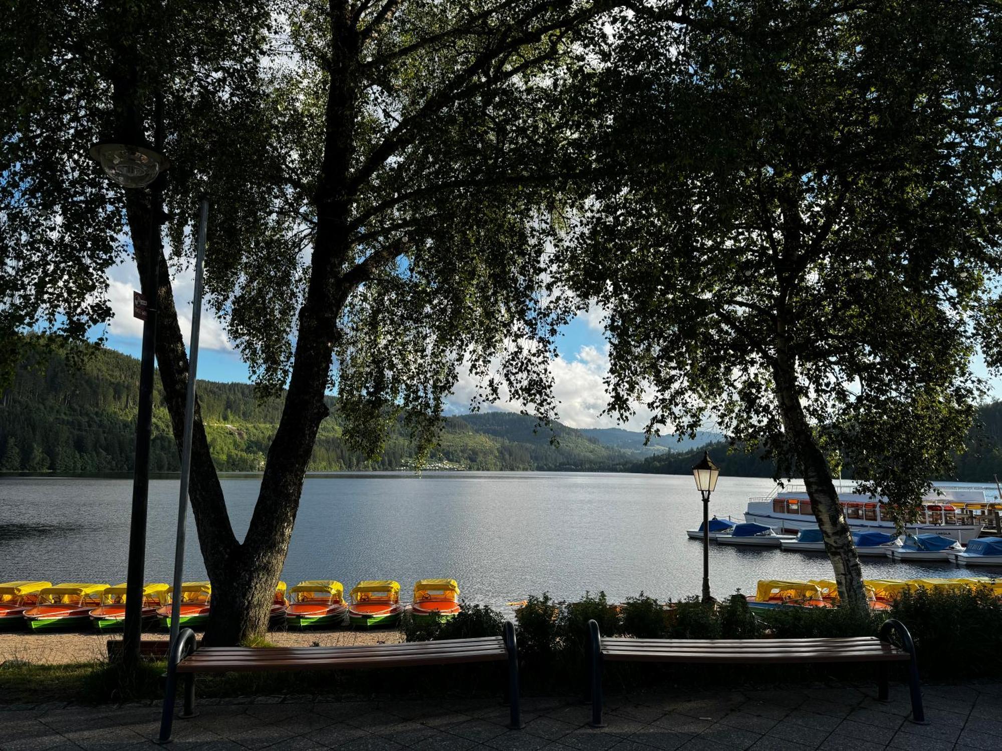 Appartement Panoramablick Mit Privatparkplatz, 2 Balkone Und 1,5 Baeder à Titisee-Neustadt Extérieur photo